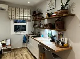 Theodore's cosy apartment
