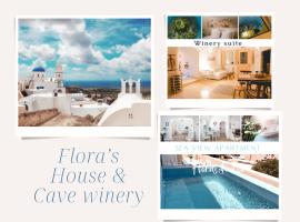Flora's House & Cave Winery，位于皮尔戈斯的乡村别墅