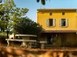 Domaine de Nougayrol Large Luxury Villa with Private Pool, Free WiFi & Parking in Outstanding Vineyard
