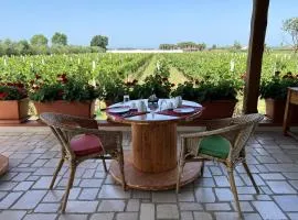 B & B Vigna Di Filippo - Paestum