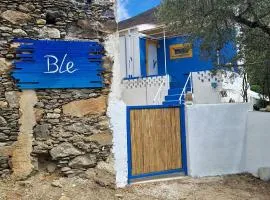 Ble 1BR Vacation Home with Private Terrace