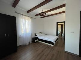 Pensiunea La Conac，位于B&icirc;rlad的带停车场的酒店