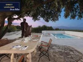 Villa Dubrava Tranquil Retreat Nestled in an Olive Grove for Serene Escapes