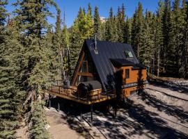 New Modern Rustic A-Frame Cabin with Barrel Sauna，位于诺德格的酒店