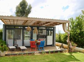 The tiny home