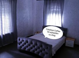 Cataleya Caffee，位于勒德乌齐的青旅