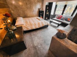 Wolf Totem Lux Backpacker Studio Loft，位于皮萨克的酒店