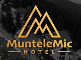 Hotel Muntele Mic，位于BorlovaMuntele Mic缆车附近的酒店