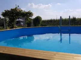 Relaxing house with exclusive swimming pool, close to Imola and Faenza, 4 bathrooms