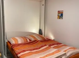 Zwillingsbuche