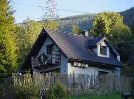 Ski House Szczyrk - Czyrna