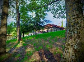 Appartamento Vacanze Il Daino，位于莱奥内萨的酒店