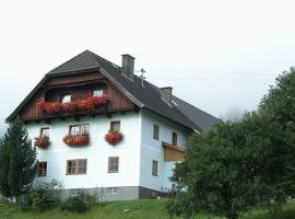 Ferienwohnung Boahof，位于Lessach的酒店