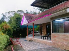 Butterfly cottage Vagamon，位于瓦加蒙的公寓