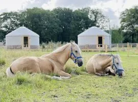 Magnolia Hoeve - Unieke Bestemming voor Paardenliefhebbers en Bijzondere Overnachtingen in de natuur