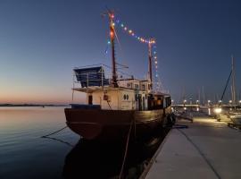 Houseboat GDY-50, dom na wodzie z sauną i jacuzzi，位于帕克的船屋