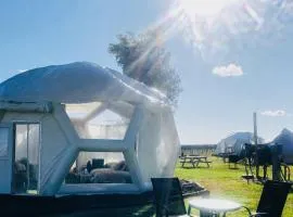 Coonawarra Hampton Bubble 3