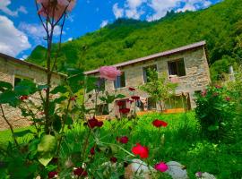 River side SVANETI，位于梅斯蒂亚的住宿加早餐旅馆