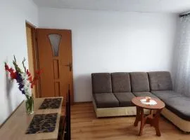 Apartament/mieszkanie-Wałbrzych Piaskowa Góra