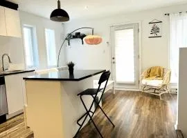 Spacious one room in two floors apartment-102