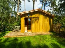 Cabane forêt proche plage