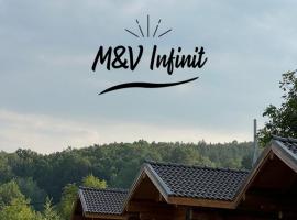 M&V Infinit，位于Sălătrucel的山林小屋