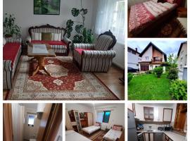 APARTMAN ILIDZA- KUCA DVA SPRATA，位于伊利扎的酒店