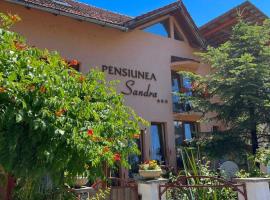 Pensiunea Sandra，位于舒加塔格盐矿镇的旅馆