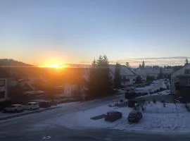 Ferienwohnung Harzwiese Ruhig Zentrumsnah mit Ausblick inklusive Wäschepaket, WLAN, Parkplatz