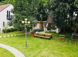 Interconnection Ba Vì Venuestay