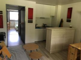 Appartement plus Pool, Morgins, Portes du Soleil，位于莫尔金斯的豪华型酒店