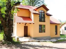 Dilijan Dream House 1