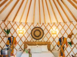 Camposanto Glamping - The Macaw Yurt，位于奥斯汀的豪华帐篷营地
