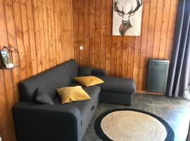 Chalet La Joue du Loup, 3 pièces, 7 personnes - FR-1-504-62，位于德沃吕伊的酒店