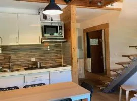 Charmant 2 pièces pour 5 pers, au pied des pistes, 24m², Vieil Alpe, Alpe d'Huez - FR-1-405-217