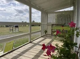 Chalet au bord de l'eau, terrasse privée, pêche, baignade, nature et détente, animaux acceptés - FR-1-489-359