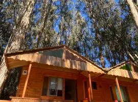 Suite con DESAYUNO SOLO PARA DOS Ó Cabañas familiares Los PINARES DEL MAR -Pet friendly