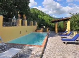Holiday home in Vicchio - Toskana 27442