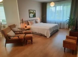 Šeimos Būstas Homestay