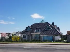 Tulipan