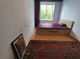 Cosy Shared Apartment near Botanical Garden