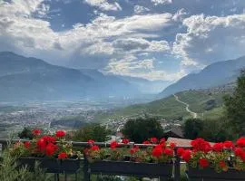 Les balcons du Rhône
