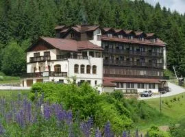 Hotel Zieleniec