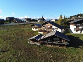 Chalet Savoyard 6 Ch - 11 Pers - Pistes des Saisies - Sauna - Cosy et Authentique - FR-1-293-54，位于雷塞兹的酒店