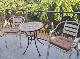 Pensiunea Theo Enelid