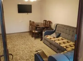 Apartment in Dilijan city