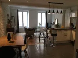 One bedroom flat 2 steps from historical centre and Loire