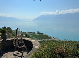 Panoramic Room in the vineyard,stunning views of lake and Alps，位于Puidoux的酒店