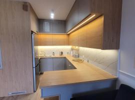 Queen Apartament Centrum z garażem，位于马佐夫舍地区明斯克的酒店