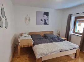 Wohnwerk: Das Moselhaus, direkt Grenze Luxemburg